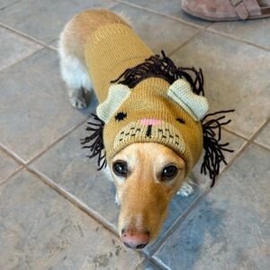 The Worthy Dog Cecil the Lion Dog Hoodie, Tan, Small